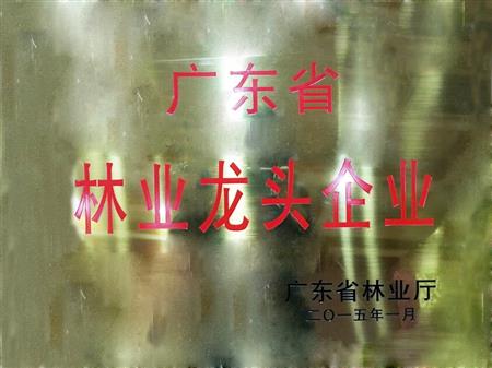    	         	2015年1月，紅古軒當選為“廣東省林業(yè)龍頭企業(yè)”   
